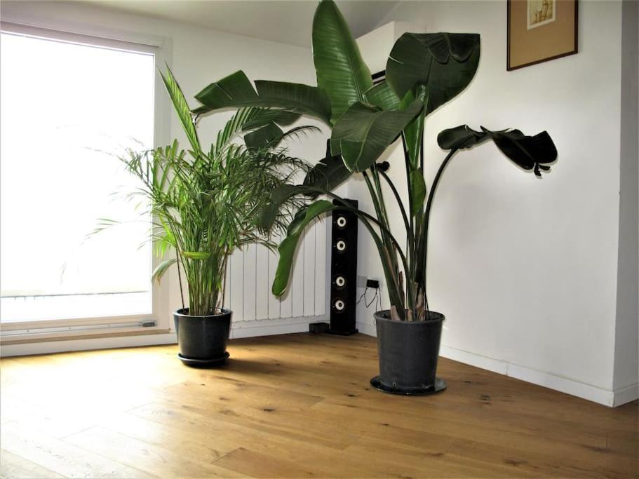 Lägenhet Prati Fiscali Penthouse