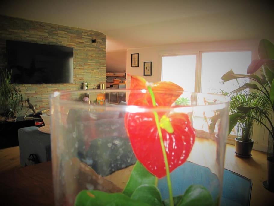 Appartamento Prati Fiscali Penthouse *